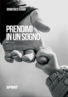 Prendimi in un sogno