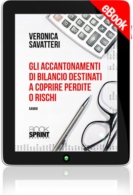 E-book - Gli accantonamenti di bilancio destinati a coprire perdite o rischi