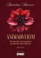 Animadverto