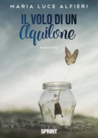 Il volo di un aquilone