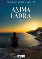 Anima ladra