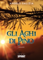 Gli aghi di pino