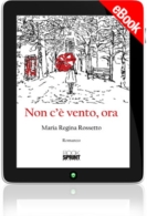 E-book - Non c'è vento, ora